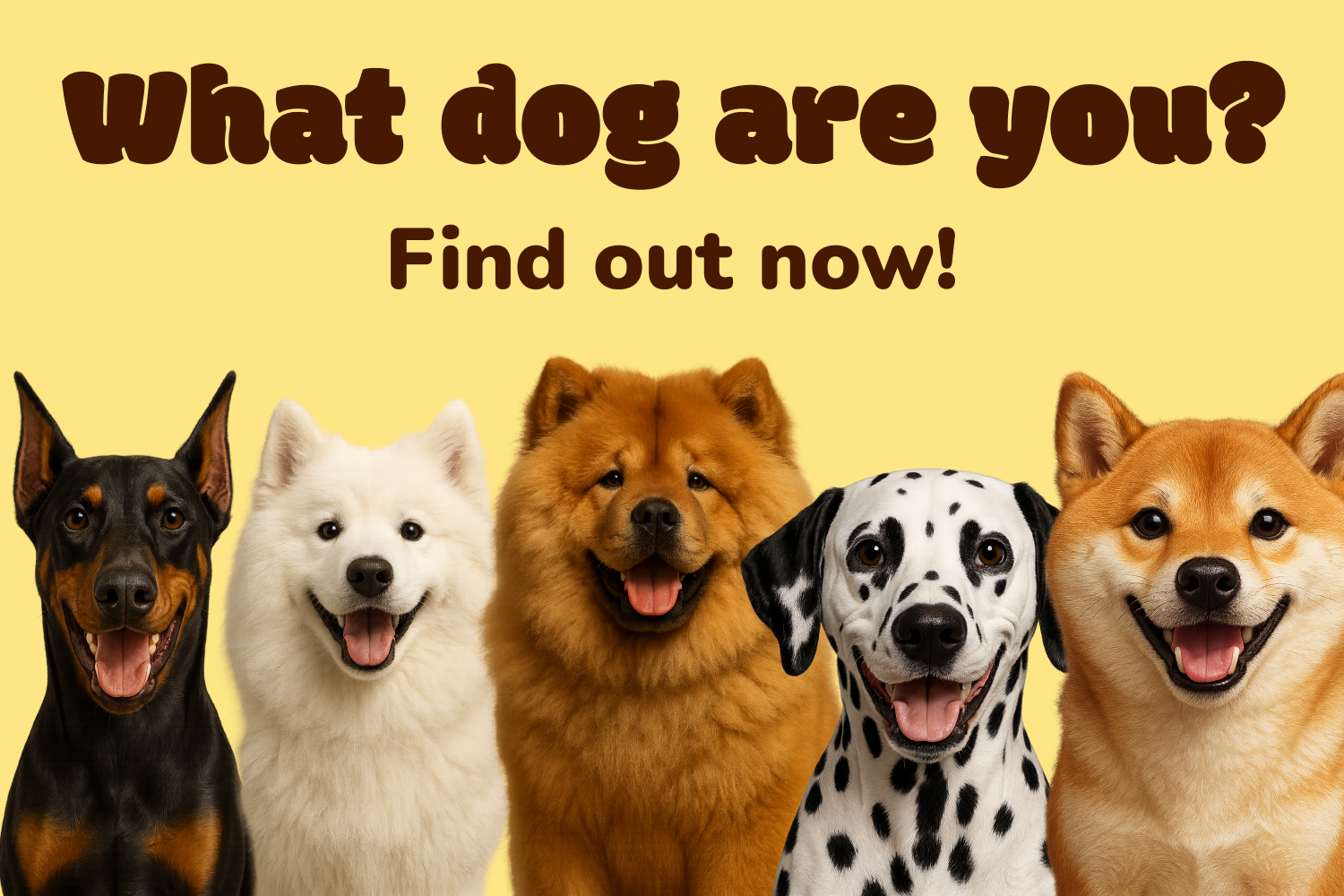 What Dog Are You - Farcaster Mini Apps